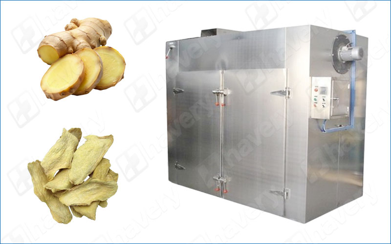 Stainless Steel Ginger Dryer Machine With Hot Air Circulation System ginger dryer machine