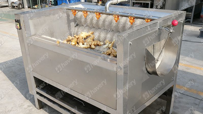ginger washing and peeling machine
