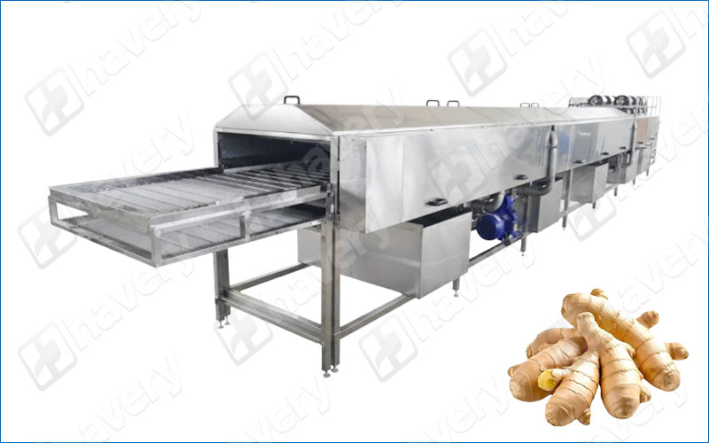 ginger washing machine