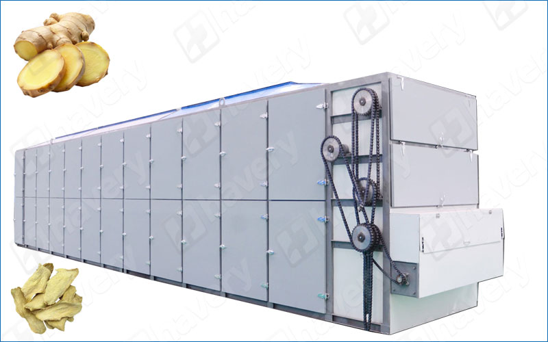 High Capacity Ginger Dehydrating Machine with Continuous Mesh Belt mesh belt ginger drying machine