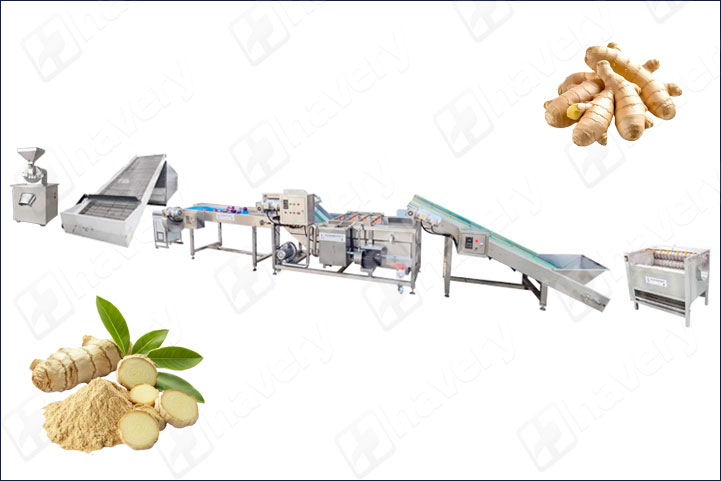 ginger powder production line