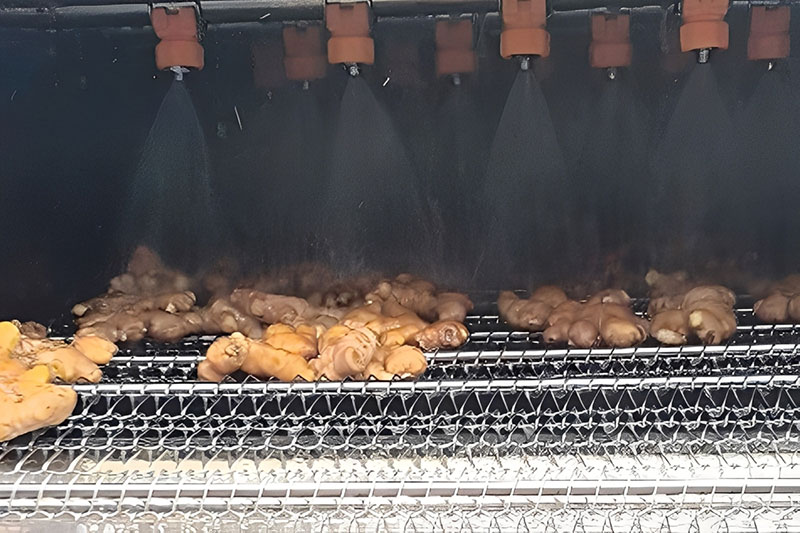 ginger washer with high pressure