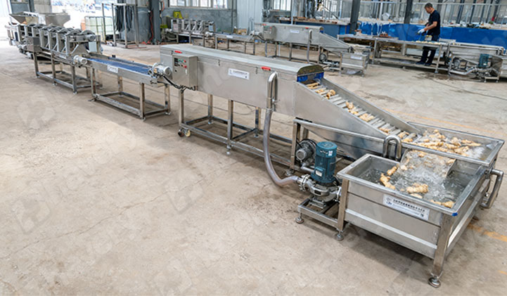 ginger washing processing line